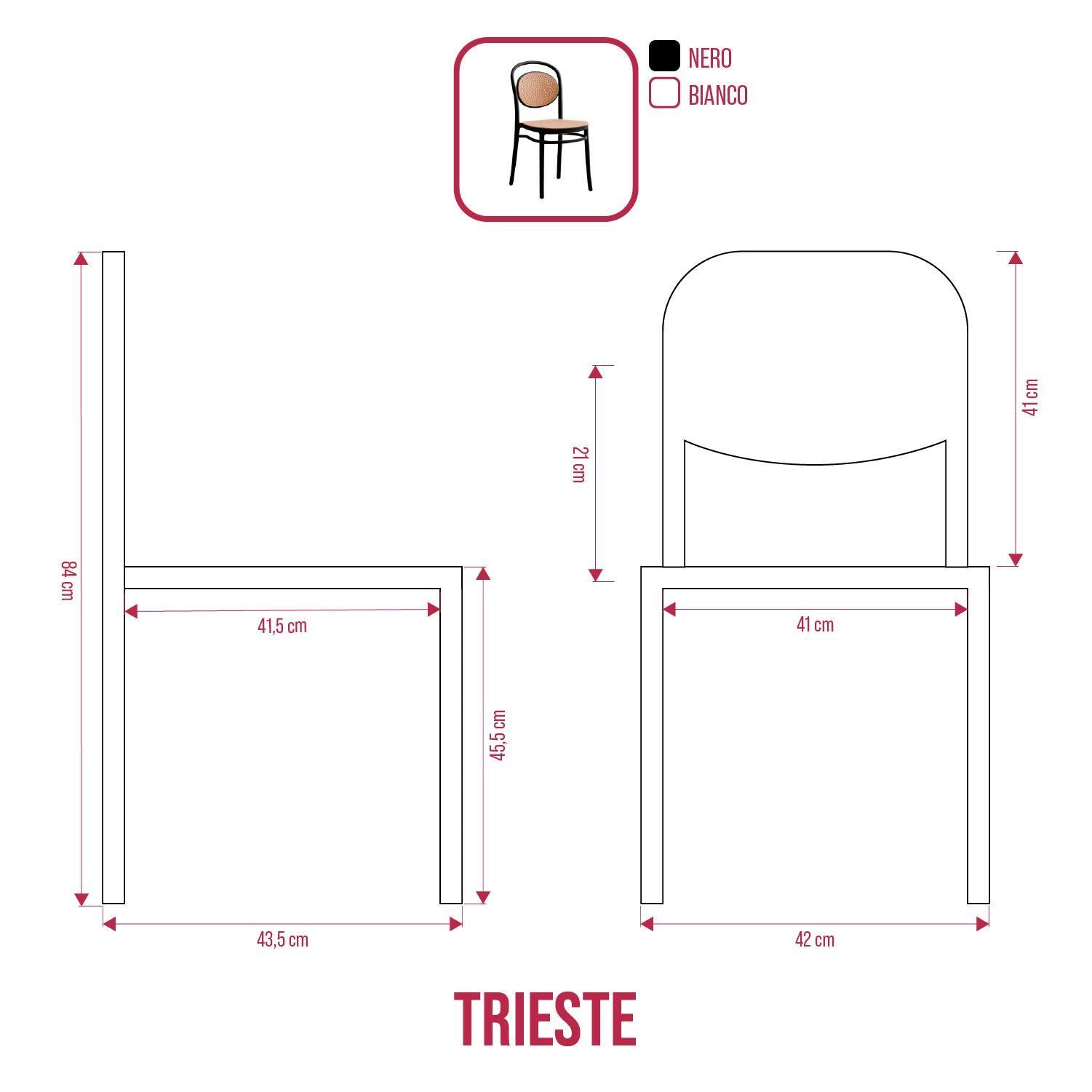 BUYBUY Sedia Arredamento da Interno Trieste Colore Nero TRS001B