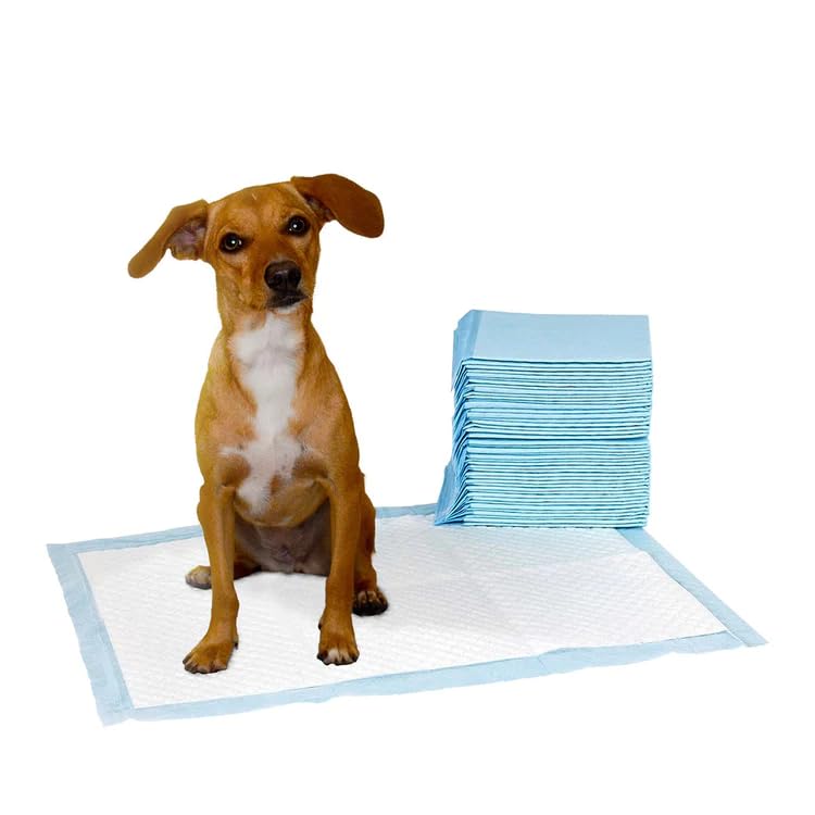 100 TRAVERSE ASSORBENTI PER CANI 60x90cm CUCCIOLI POLIMERI PANNOLINI CANE