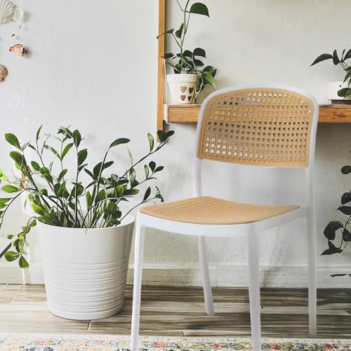 BUYBUY Sedia Arredamento da Interno Firenze Colore Bianco FIE001W