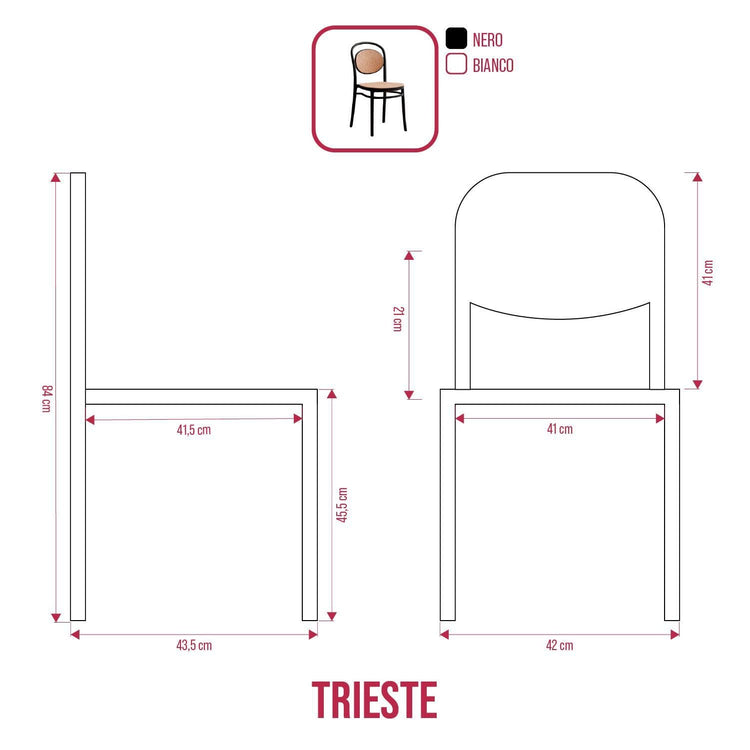 BUYBUY Sedia Arredamento da Interno Trieste Colore Nero TRS001B